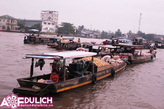 จำนวนนักท่องเที่ยวที่ไปเยือนเมืองCần Thơเพิ่มขึ้นอย่างรวดเร็วในช่วงต้นปีใหม่2013